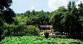 長沙出發(fā)到花明樓、韶山、張家界國家森林公園、天門仙山國家森林公園四日游